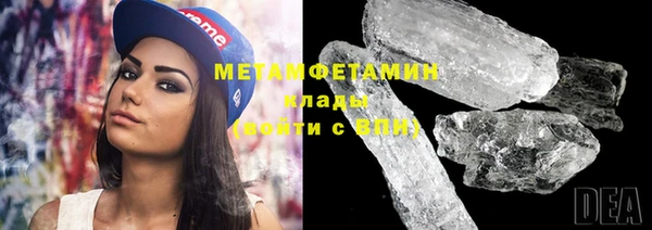 индика Новозыбков