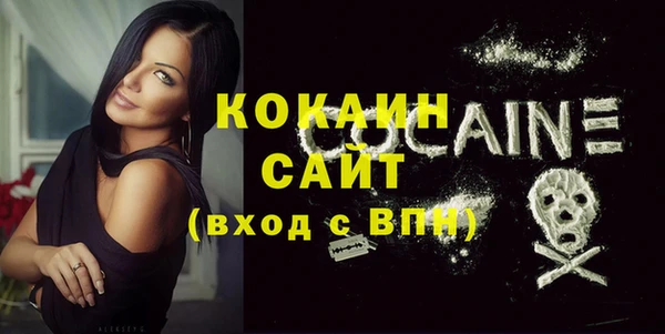 индика Новозыбков