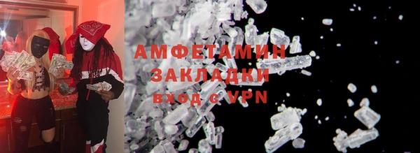 индика Новозыбков