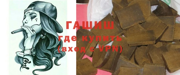 индика Новозыбков