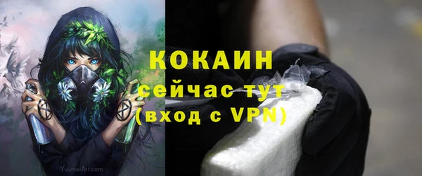 прущая мука Новодвинск
