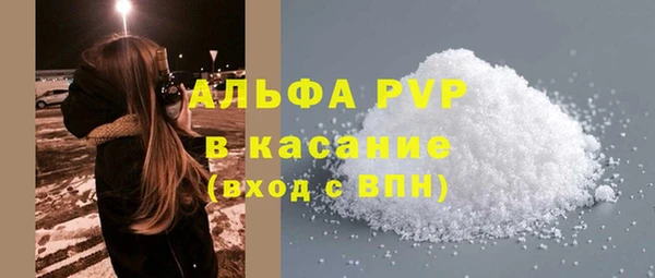 индика Новозыбков