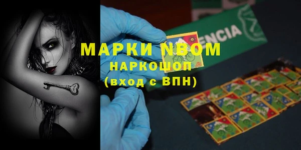 индика Новозыбков