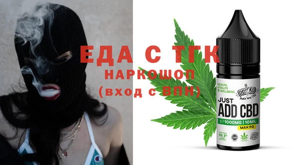 индика Новозыбков