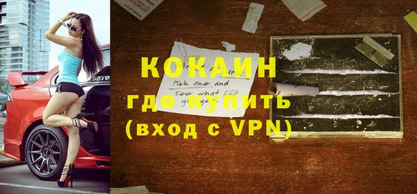 индика Новозыбков