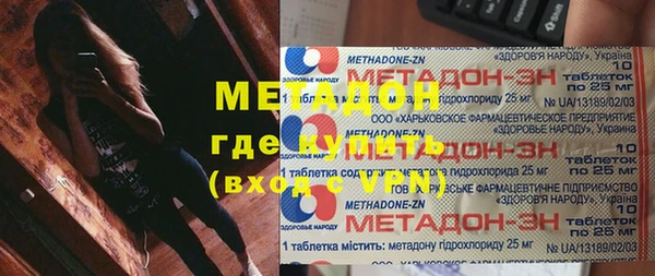 индика Новозыбков