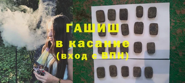 индика Новозыбков