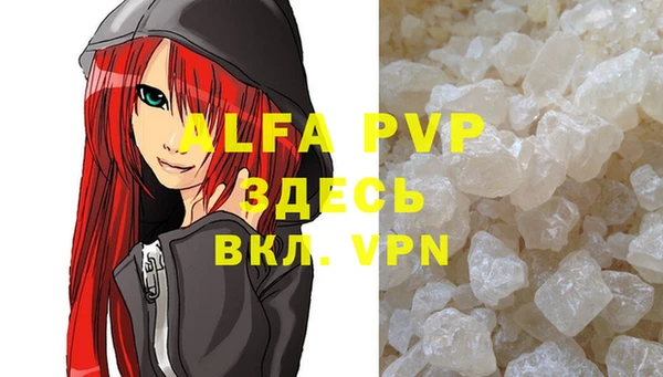 индика Новозыбков