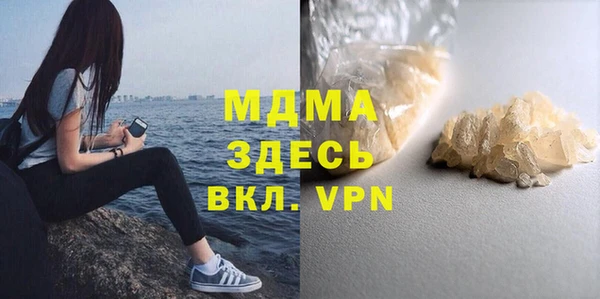 индика Новозыбков