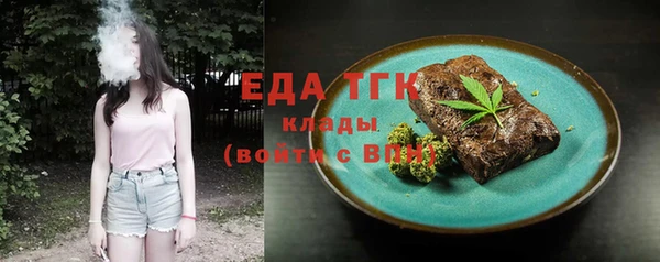 индика Новозыбков