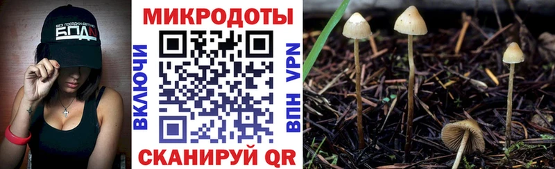 Галлюциногенные грибы мицелий  где продают наркотики  Биробиджан 